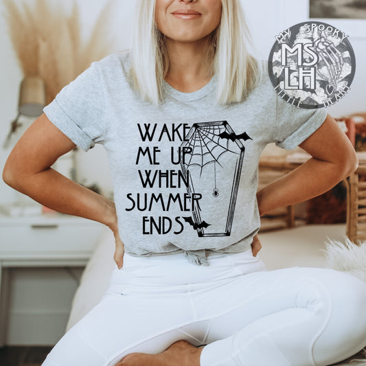 Wake me up when Summer Ends