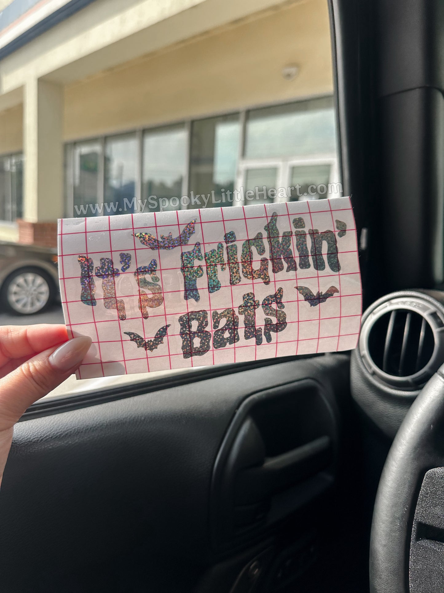 It's Frickin' bats Vinyl Decal