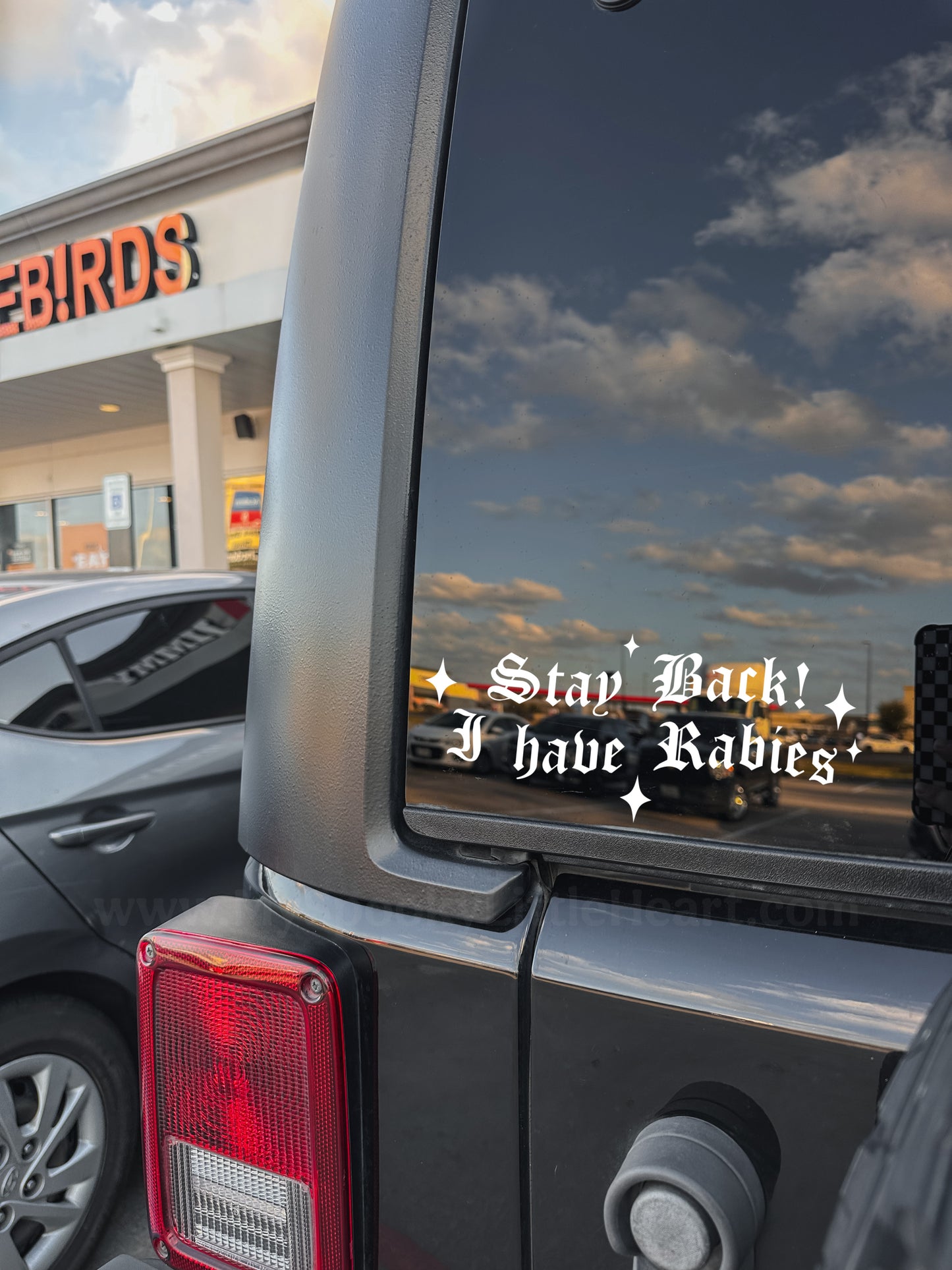Stay back! I have Rabies Vinyl Decal