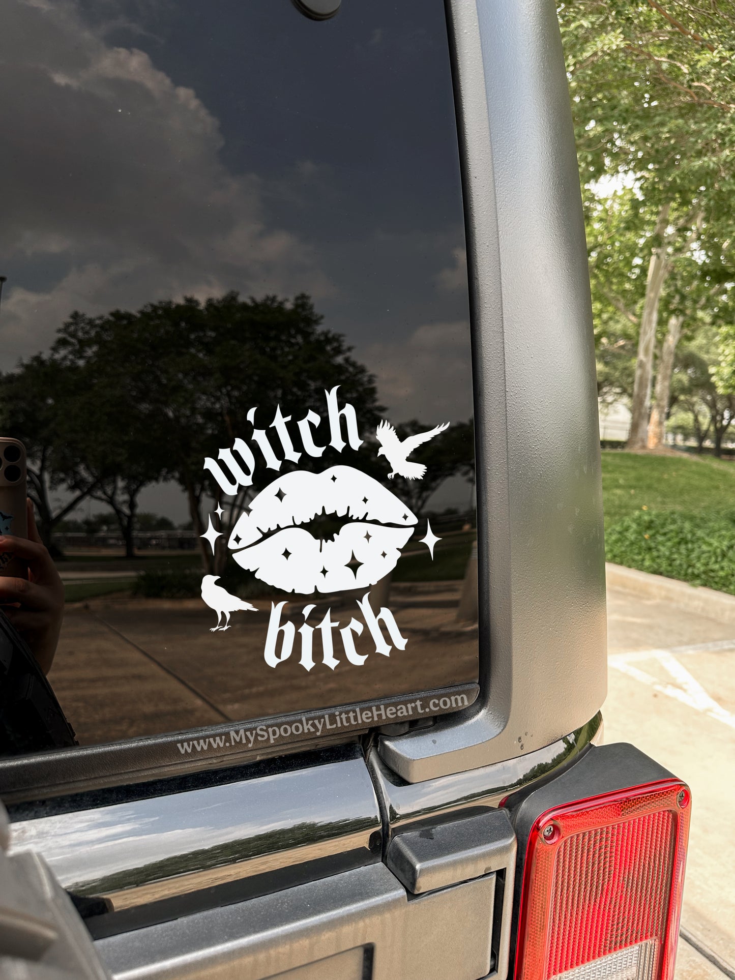 Witch bitch with crows Vinyl Decal