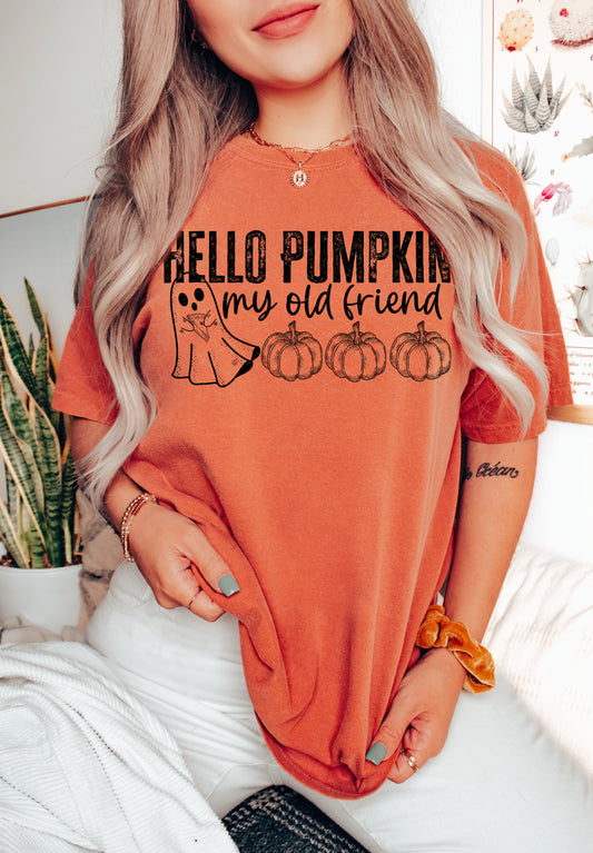 Hello Pumpkin My old Friend PNG File