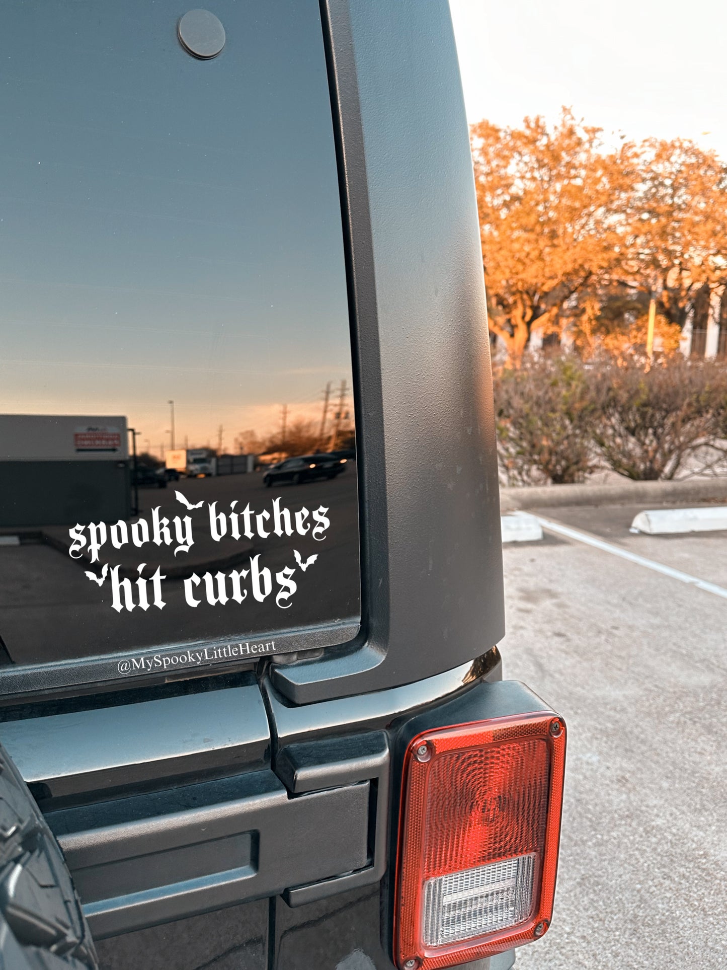 Spooky Bitches Hit Curbs Car Vinyl Decal